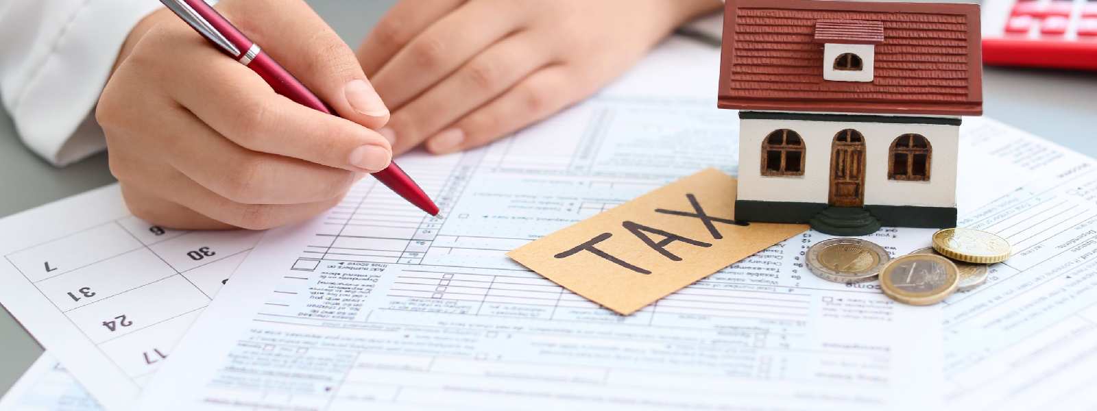 Sri Lanka Tax ID Fines On Hold